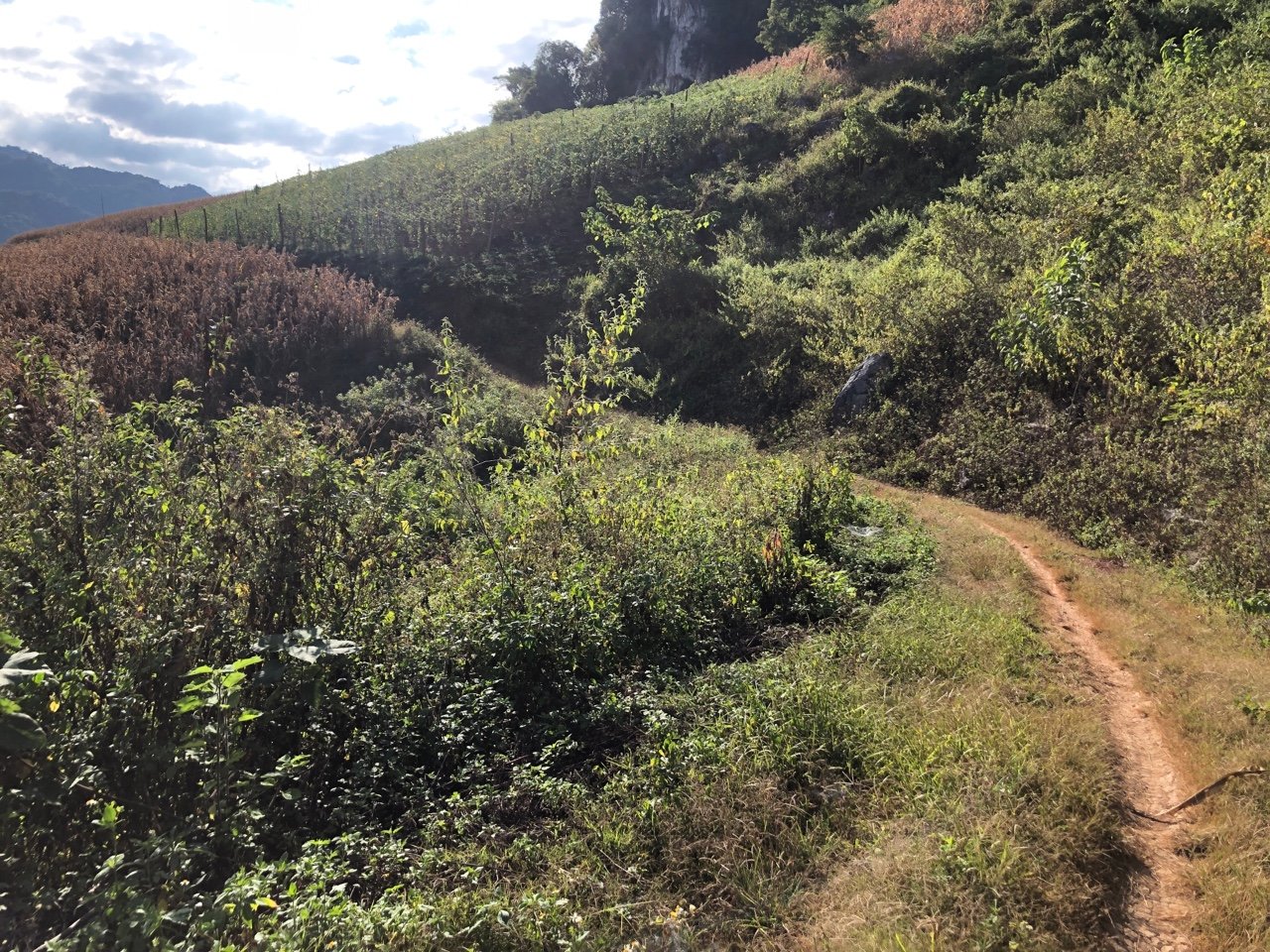Cycling Tour from Mai Chau to Pu Luong: A Scenic Ride into Vietnam’s Heartland